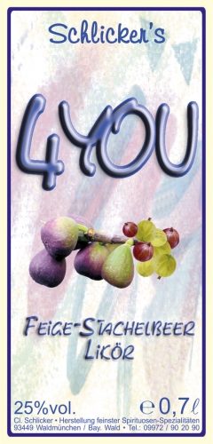 4you 25%vol. 0,70 L